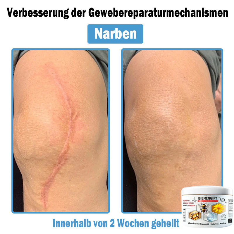 Vorschaubild 6